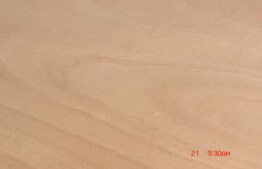 Yellow Rotary Cut Okoume Veneer For Chipboard , 0.2 mm - 0.6 mm Thickness