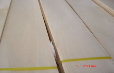 Golden Birch Hard Crown Cut Veneer For Edge Banding And Plywood
