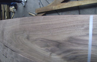 Black Walnut Crown Cut Veneer , Board Grade And Furniture Grade