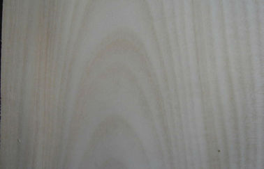 0.5mm Thickness Sliced Veneer , Natural White Birch Veneer For Furniture