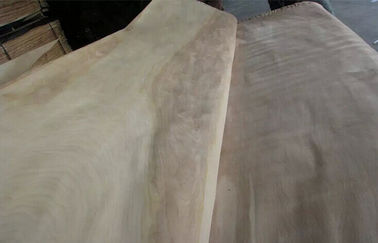 Natural Rotary Cut Birch cutting wood veneer A Grade For Furniture