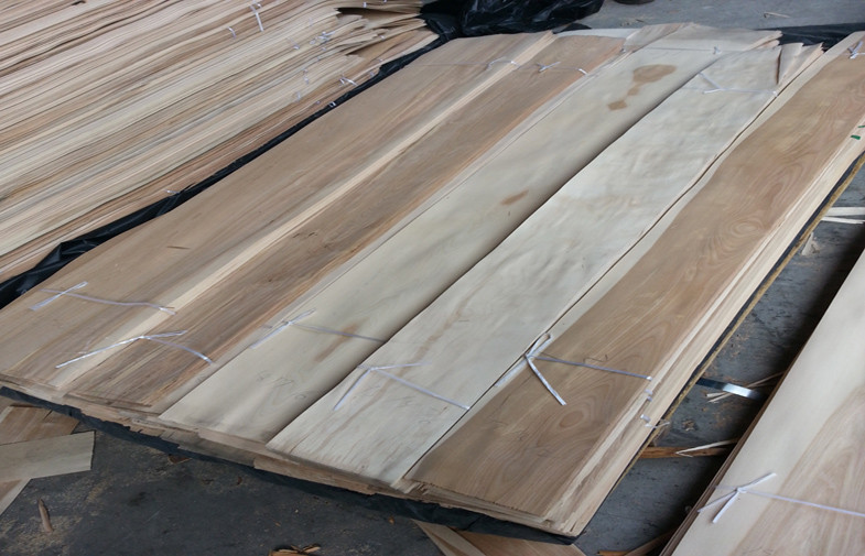 Ceiling Panels Smooth Birchwood Veneer Crown Cut Cross Grain