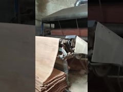 Natural Wood PLB Rotary Cut Veneer Sheet