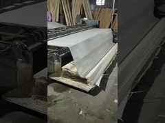 Natural Wood Rotary Cut White Birch  Veneer Sheet