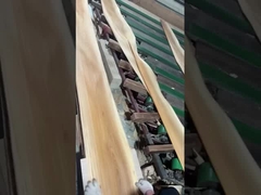 Elm Veneer Crown Cut