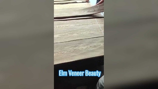 Elm Crown Cut Veneer