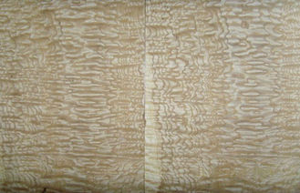 Sliced Cut Natural Burl Wood Veneer , Ash Wood Veneer For Decoration