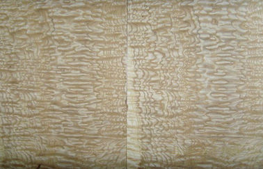 Yellow Ash Wood Veneer With Burls , Sliced Cut Wood Veneer