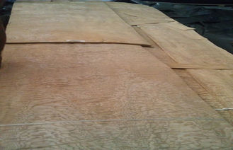 Yellow Ash Wood Veneer With Burls , Sliced Cut Wood Veneer