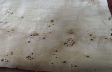 Flat Burled Wood Veneer Sliced Cut , Constructional Ash Burl Veneer