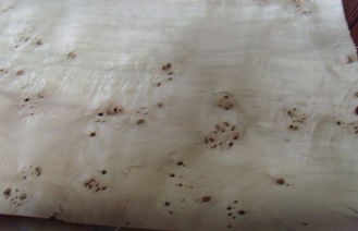 Poplar Natural Burl Sliced Cut Wood Veneer Sheets , Elm Burl Veneer