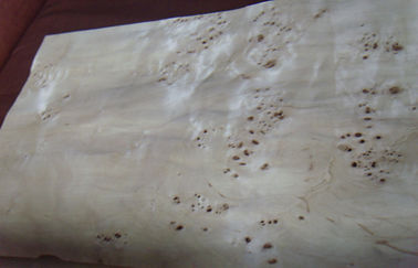 Flat Burled Wood Veneer Sliced Cut , Constructional Ash Burl Veneer