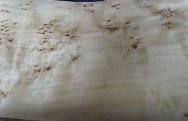 Flat Burled Wood Veneer Sliced Cut , Constructional Ash Burl Veneer