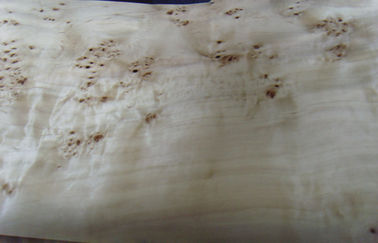 Poplar Natural Burl Sliced Cut Wood Veneer Sheets , Elm Burl Veneer