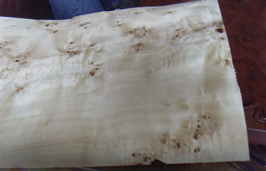 Flat Burled Wood Veneer Sliced Cut , Constructional Ash Burl Veneer