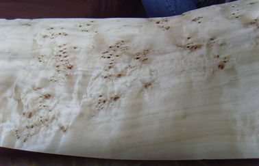 Flat Burled Wood Veneer Sliced Cut , Constructional Ash Burl Veneer