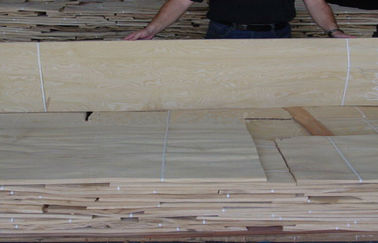 White Ash Burl Wood Veneer Sheets for Crafts , Natural Wood