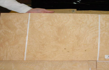 White Ash Burl Wood Veneer Sheets for Crafts , Natural Wood
