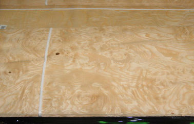 Walnut Burl Wood Veneer