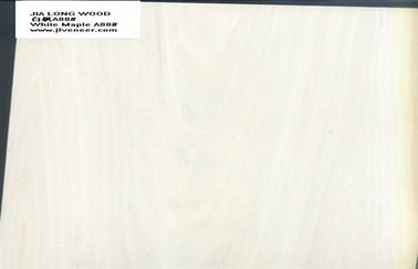 Maple Engineered Wood Veneer