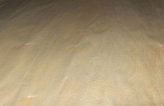 Natural Birch Rotary Cut Veneer With 0.2 mm - 0.6 mm Thickness