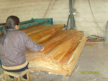 A Grade Birch Rotary Cut Veneer With Thickness 0.2mm - 0.6mm