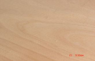 Yellow Rotary Cut Okoume Veneer For Chipboard , 0.2 mm - 0.6 mm Thickness
