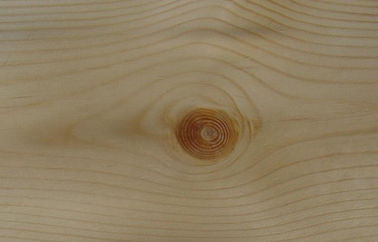 0.45 mm Yellow Knotty Pine Quarter Cut Veneer With Crown Grain