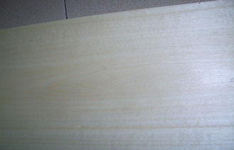 0.5 mm Crown Cut White Birch Veneer With Light Yellow Grain