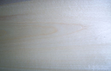 0.5 mm Crown Cut White Birch Veneer With Light Yellow Grain