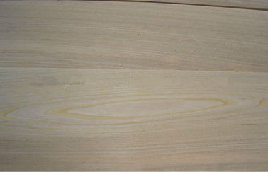 Brown Crown Cut Veneer