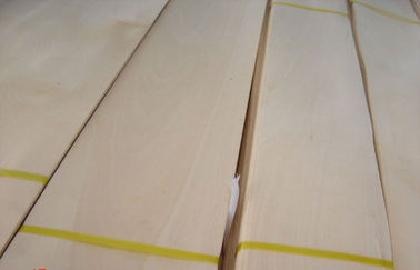 Golden Birch Hard Crown Cut Veneer For Edge Banding And Plywood