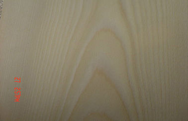 Golden Birch Hard Crown Cut Veneer For Edge Banding And Plywood