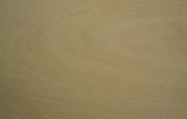 Golden Birch Hard Crown Cut Veneer For Edge Banding And Plywood