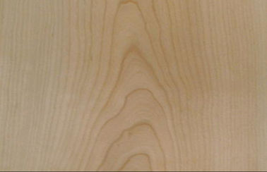 American Crown Cut Veneer