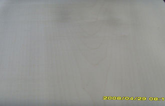 Milk White Hard Maple Crown Cut Veneer For Furniture , Plywood