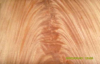 Dard Red Crown Cut Veneer Mohagany Crotch , Natural Wood Veneer