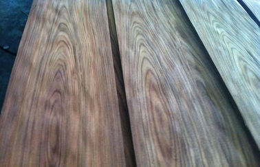 0.5 mm Crown Cut Veneer