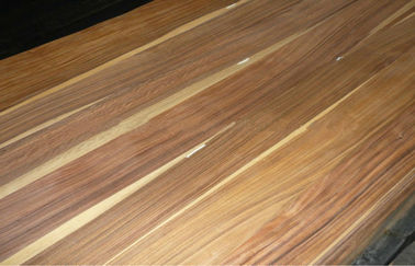 0.5 mm Crown Cut Veneer