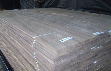 Black Walnut Crown Cut Veneer , Board Grade And Furniture Grade