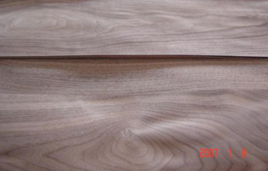 Black Walnut Crown Cut Veneer , Board Grade And Furniture Grade