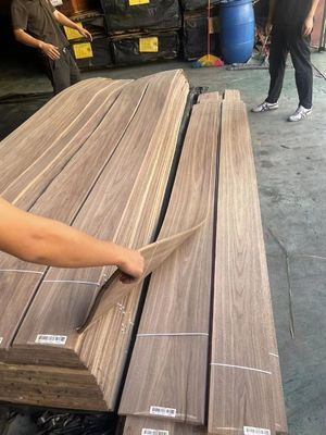 American Natural Black Walnut Crown Cut / Plain Cut  Veneer Sheet For Plywood