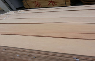 Natural Crown Cut Steamed Beech Sliced Veneer C grade For Furniture