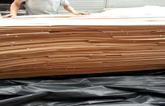 Natural Crown Cut Steamed Beech Sliced Veneer C grade For Furniture