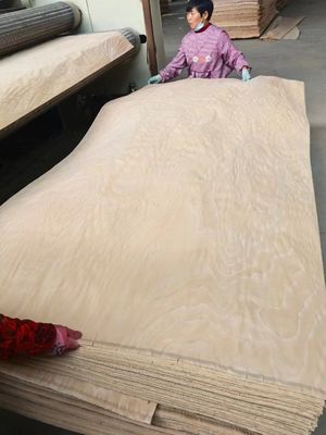 Natural Rotary Cut European Pink Beech Veneer Sheet For Plywood