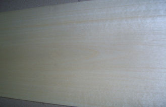 Sliced Cut White Birch Wood Veneer Prefinished With 0.5mm Thickness