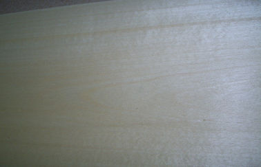 High Grade Birch Wood Veneer Polishing One-Sided Decoration With Rotary Cut