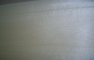 Sliced Cut White Birch Wood Veneer Prefinished With 0.5mm Thickness