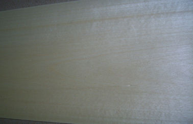 0.5mm Thickness Sliced Veneer , Natural White Birch Veneer For Furniture