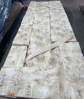Natural Sliced Cut Poplar Burl Veneer Sheets A Grade For Furniture Decoration